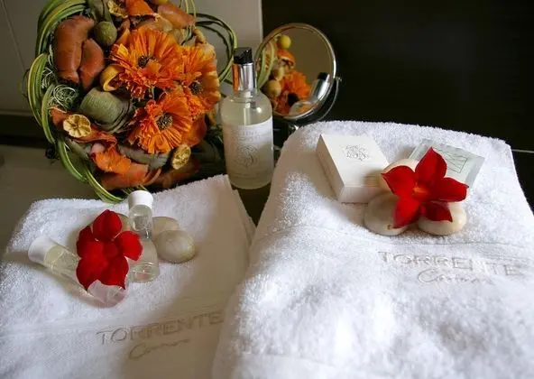 Comfort Tek Büyük Yataklı Oda, Engellilere Uygun, Özel Banyo (PINOT)