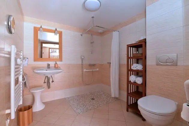 Comfort Tek Büyük Yataklı Oda, Engellilere Uygun, Özel Banyo (PINOT)