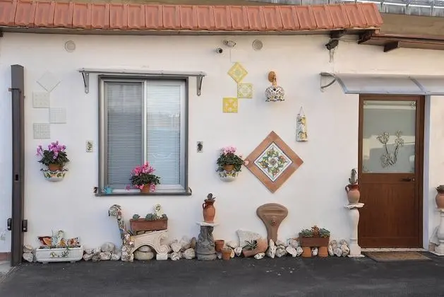 Camera Garden