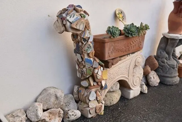 Camera Garden
