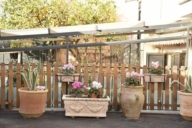 Camera Garden