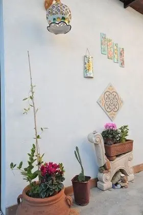 Camera Garden