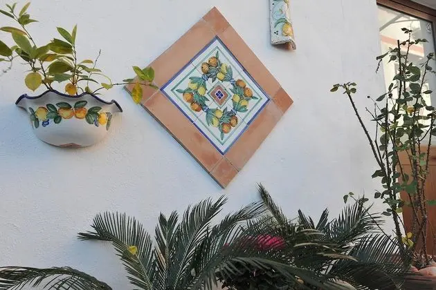 Camera Garden