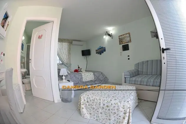 Camera Garden