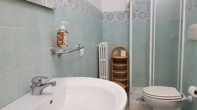 Deluxe Tek Büyük Yataklı Oda (Limoneto)