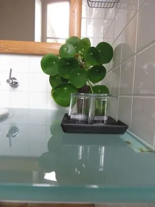 Family Süit (Sepia)