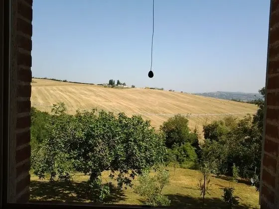 Tek Büyük Yataklı Oda, Özel Banyo, Tepe Manzaralı
