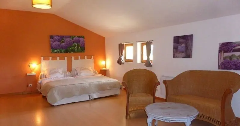 Comfort Stüdyo (Mourvèdre)