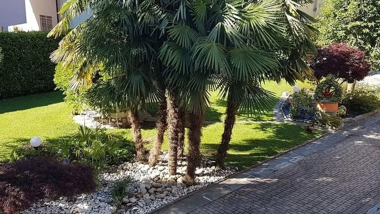 Classic Tek Büyük Yataklı Oda, 1 Büyük (Queen) Boy Yatak, Özel Banyo