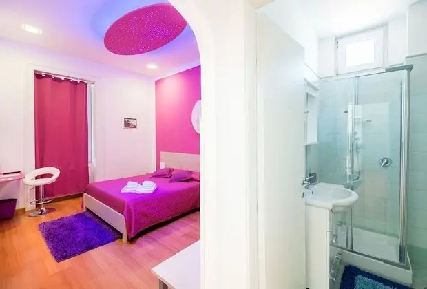 Standard Tek Büyük Yataklı Oda (Viola)
