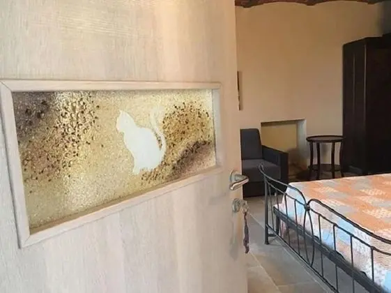 Tek Büyük Yataklı Oda, Veranda, Havuz Manzaralı (Gatto)