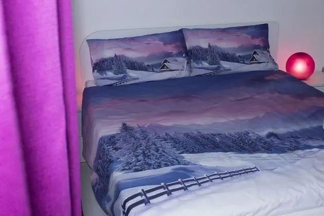 Tek Büyük Yataklı Oda, Banyolu/Duşlu, Şehir Manzaralı