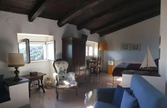 Deluxe Tek Büyük Yataklı Oda, Deniz Manzaralı