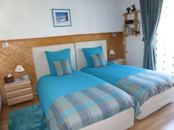 Comfort İki Ayrı Yataklı Oda (Bleue)