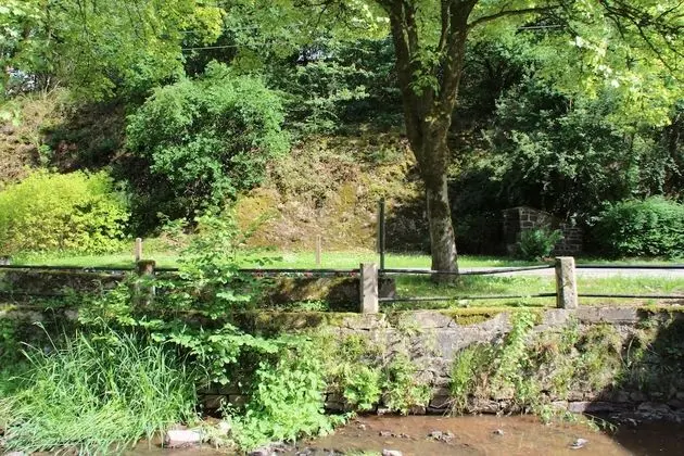 Tek Büyük Yataklı Oda, 1 Büyük (Queen) Boy Yatak (Bois de Hampteau)