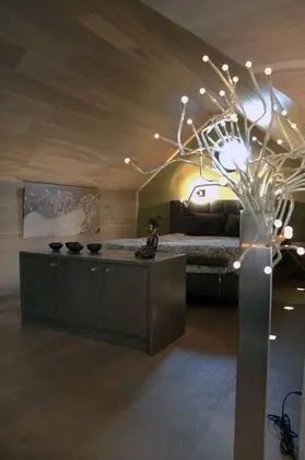 Çatı Katı (Loft)