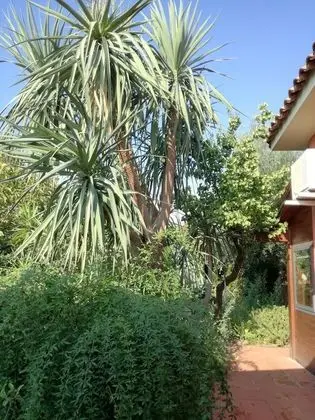 Dört Kişilik Oda, Bahçe Manzaralı