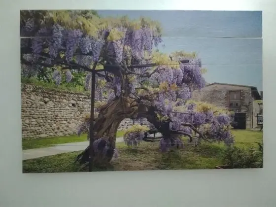 Tek Büyük Yataklı Oda, Ortak Banyo
