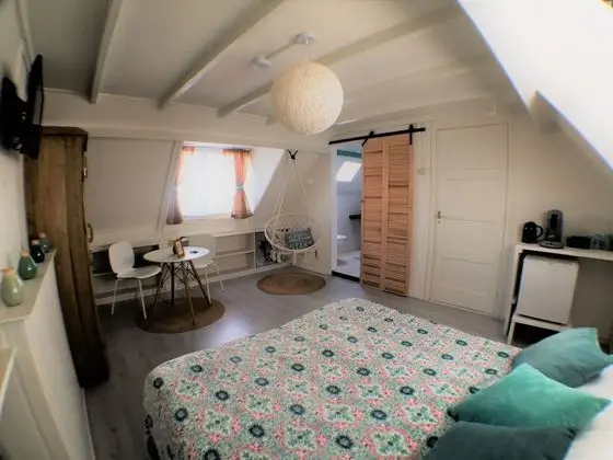Standard Tek Büyük Yataklı Oda, Banyolu/Duşlu (Ibiza room)