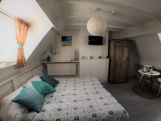 Standard Tek Büyük Yataklı Oda, Banyolu/Duşlu (Ibiza room)