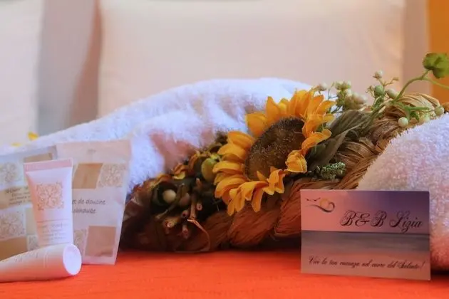 Basic Dört Kişilik Oda