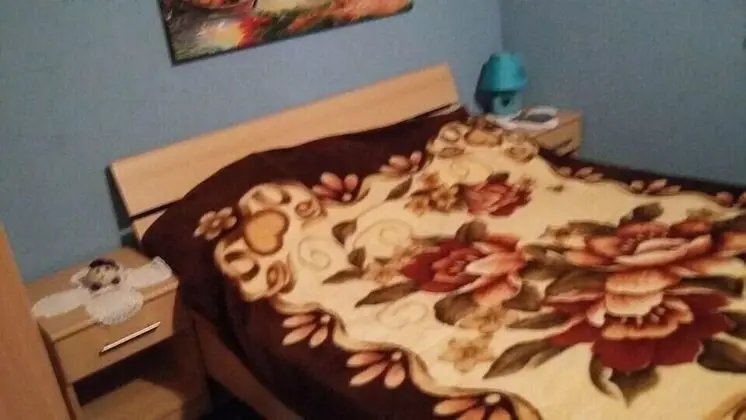 Tek Büyük Yataklı Oda (Plava)