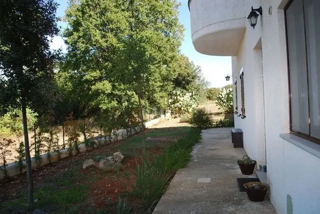 Family Oda (Carrubo)