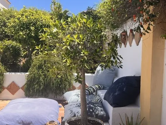 Comfort Oda, 1 Yatak Odası, Sigara İçilmez, Bahçe Manzaralı (Blue)