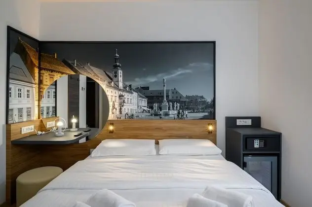 Standard Tek Büyük Yataklı Oda, Şehir Manzaralı