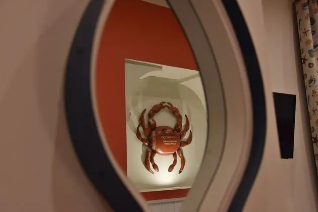 Üç Kişilik Oda, Özel Banyo