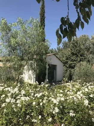 Superior Süit (Côté Piscine 2)