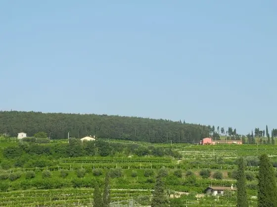 Classic Tek Büyük Yataklı Oda, Banyolu/Duşlu, Tepe Manzaralı