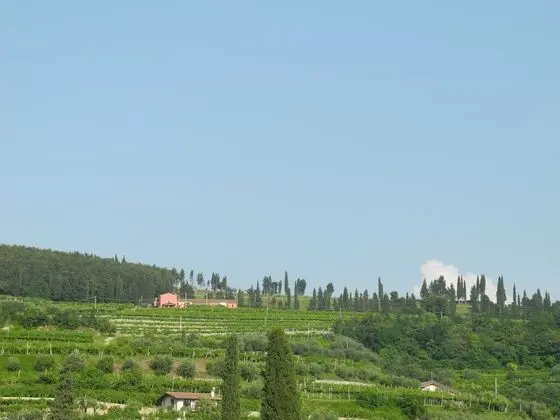 Classic Tek Büyük Yataklı Oda, Banyolu/Duşlu, Tepe Manzaralı