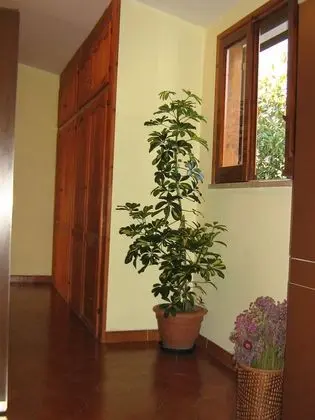 Dört Kişilik Oda