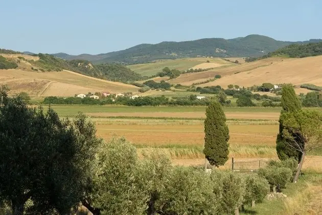 Standard Tek Büyük veya İki Ayrı Yataklı Oda, Banyolu/Duşlu