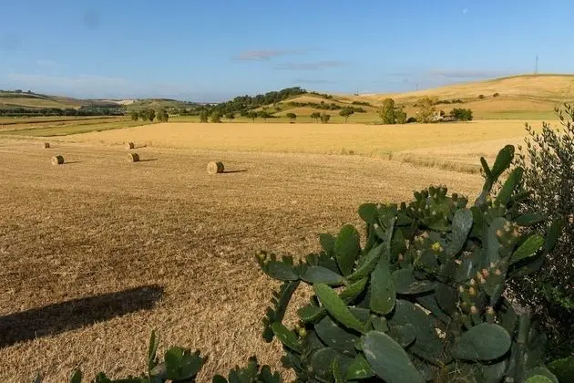 Superior Tek Büyük veya İki Ayrı Yataklı Oda, Banyolu/Duşlu, Bahçe Manzaralı (Primavera)