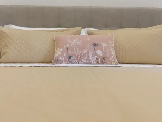 Deluxe Tek Büyük Yataklı Oda, Teras