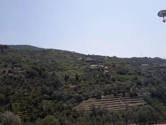 Standard Tek Büyük Yataklı Oda, 1 Çift Kişilik Yatak, Ortak Banyo (Small)