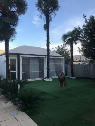 Oda, 1 Yatak Odası, Balkon