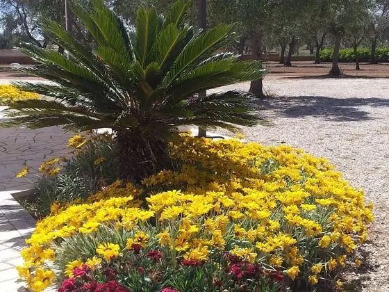 Tek Büyük Yataklı Oda, Veranda