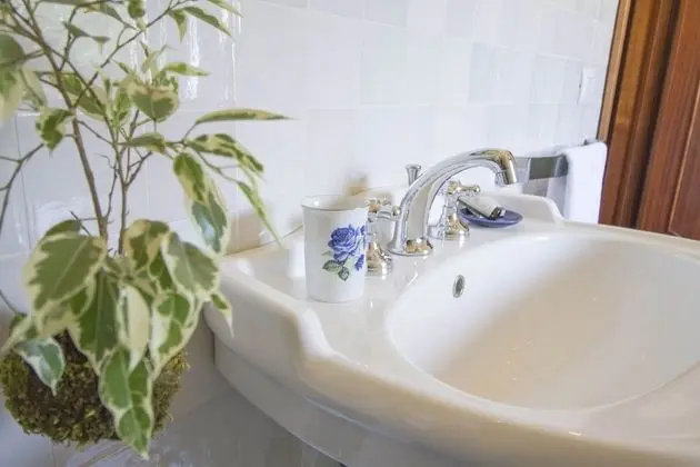 Deluxe Oda, 1 Büyük (Queen) Boy Yatak, Banyolu/Duşlu, Bahçe Manzaralı (Reale)