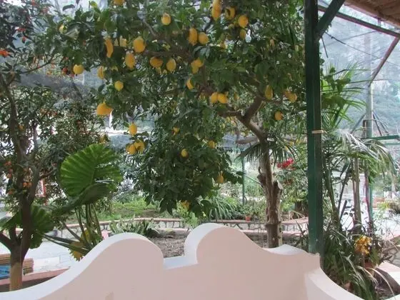 Basic Tek Büyük Yataklı Oda, Sigara İçilmez