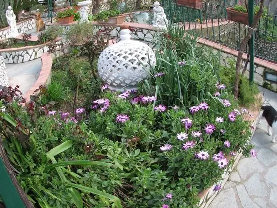 Basic Tek Büyük Yataklı Oda, Sigara İçilmez