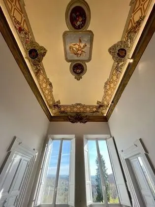Luxury Oda