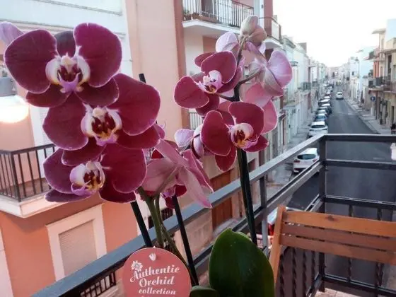 Dubleks, Balkon