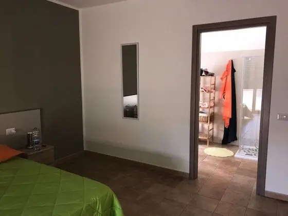 Basic Tek Büyük Yataklı Oda, Banyolu/Duşlu