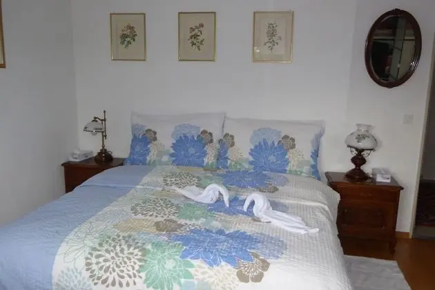 Tek Büyük Yataklı Oda, Ortak Banyo (Balcony)