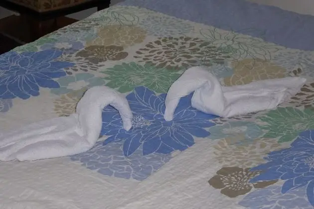 Tek Büyük Yataklı Oda, Ortak Banyo (Balcony)