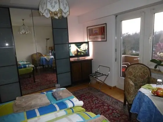 Tek Büyük Yataklı Oda, Ortak Banyo (Balcony)