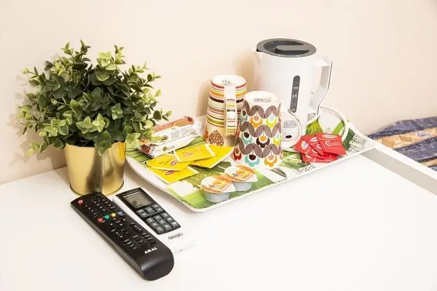 Superior Tek Büyük Yataklı Oda, 1 Çift Kişilik Yatak, Küvet, Şehir Manzaralı